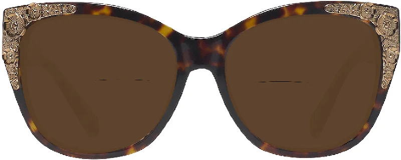 Dark Tortoise