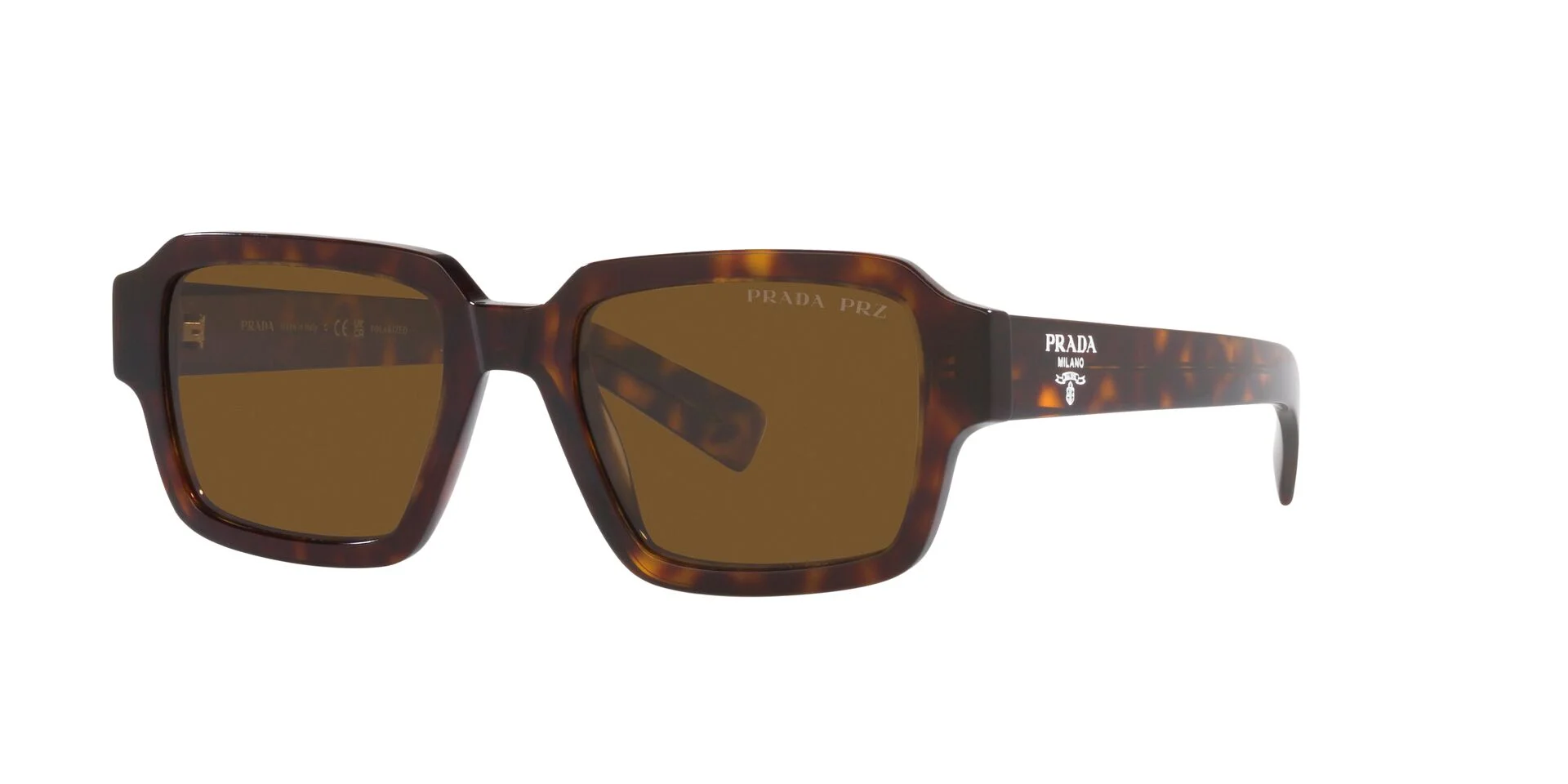 Tortoise/Polarised Brown