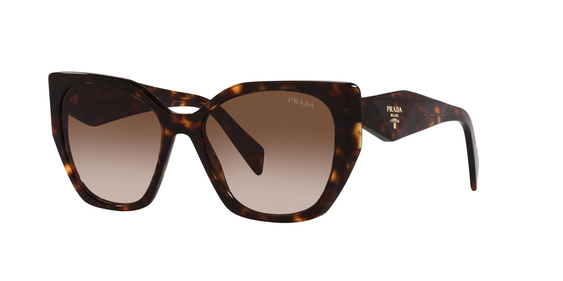 Tortoise/Brown Gradient