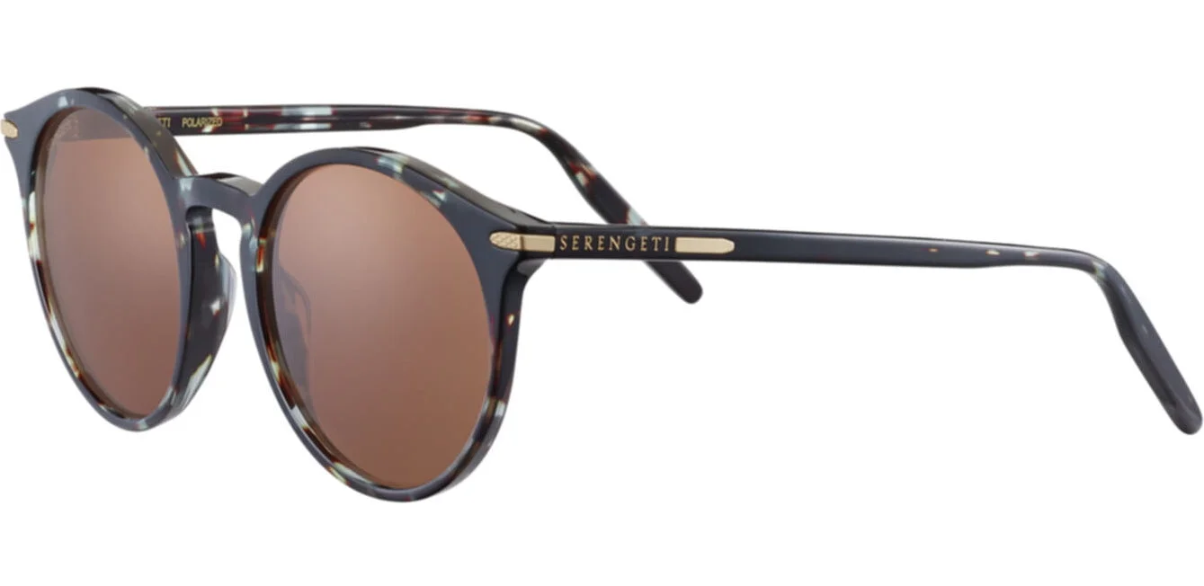 Shiny Blue Tortoise/Brown