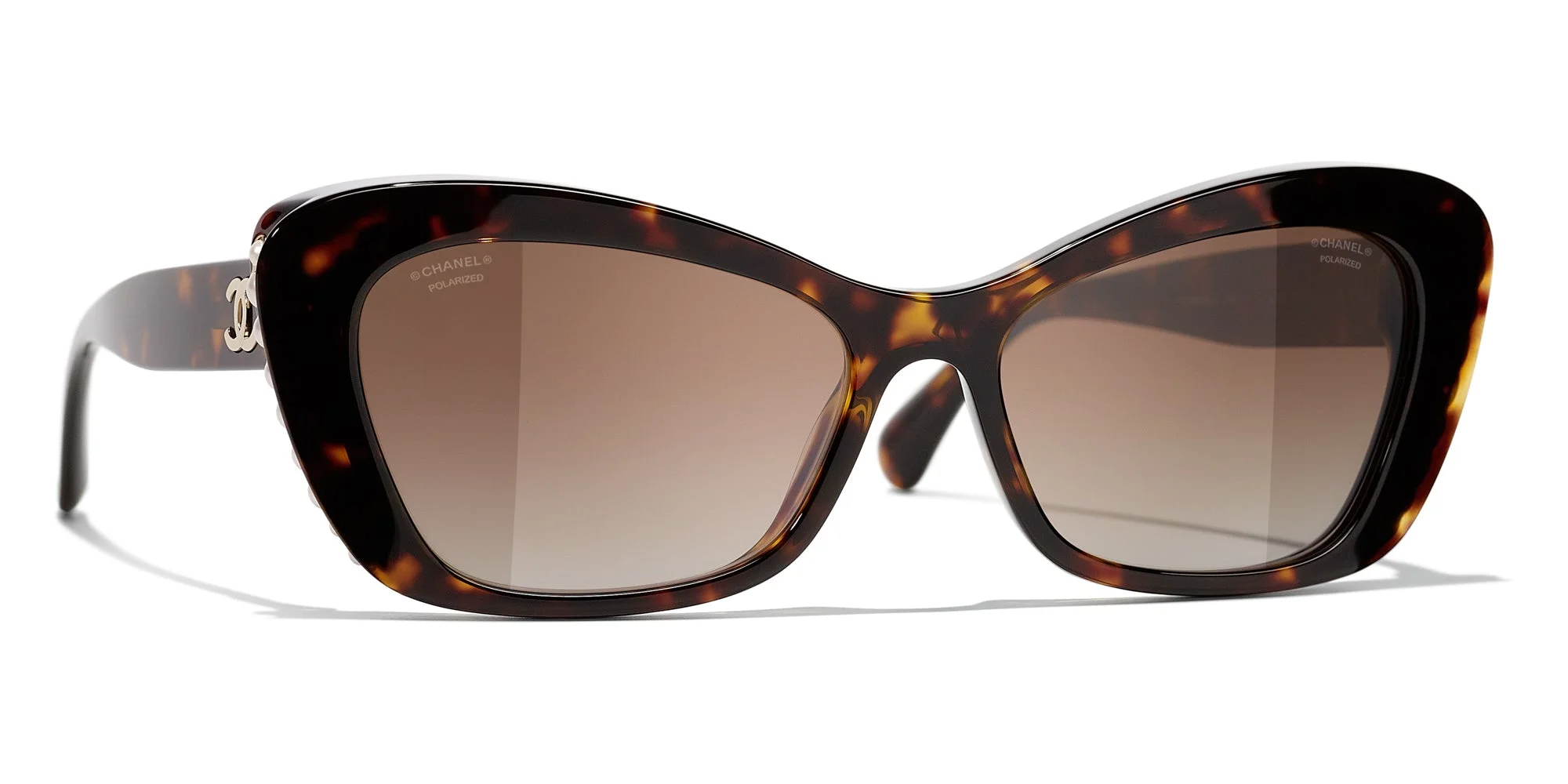 Dark Tortoise/Polarised Brown Gradient
