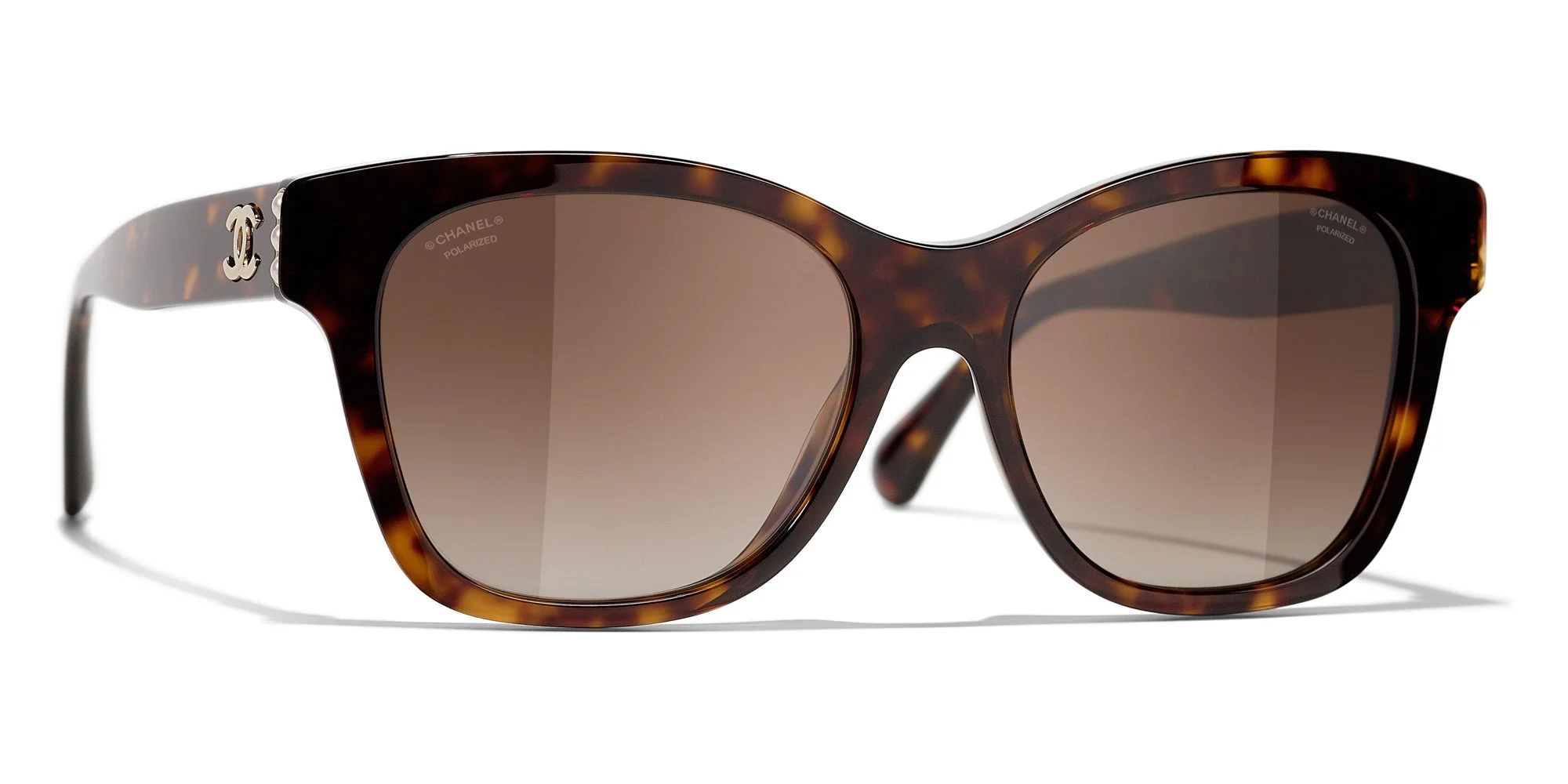 Dark Tortoise/Polarised Brown Gradient