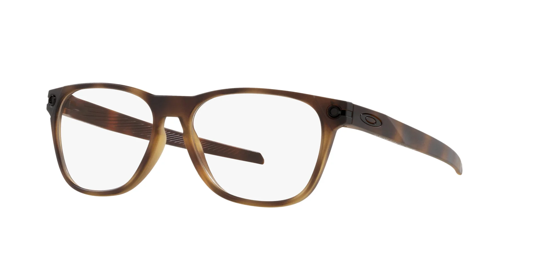 Satin Brown Tortoise